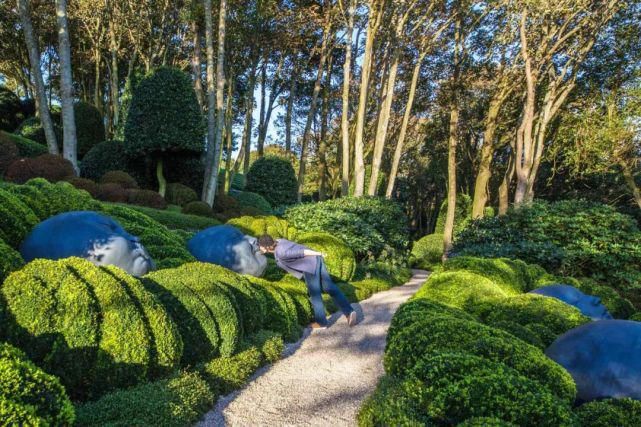 植物“整形”，花样百出