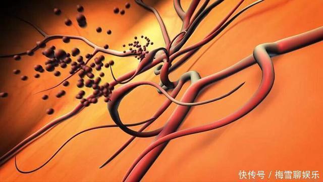 2型糖尿病|糖尿病人用小米替代大米,会得到哪些惊喜?看下答案不吃亏