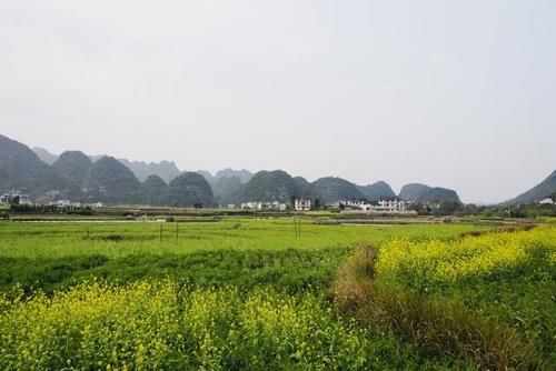 一次说清万峰林的门票问题，不负春光不负卿