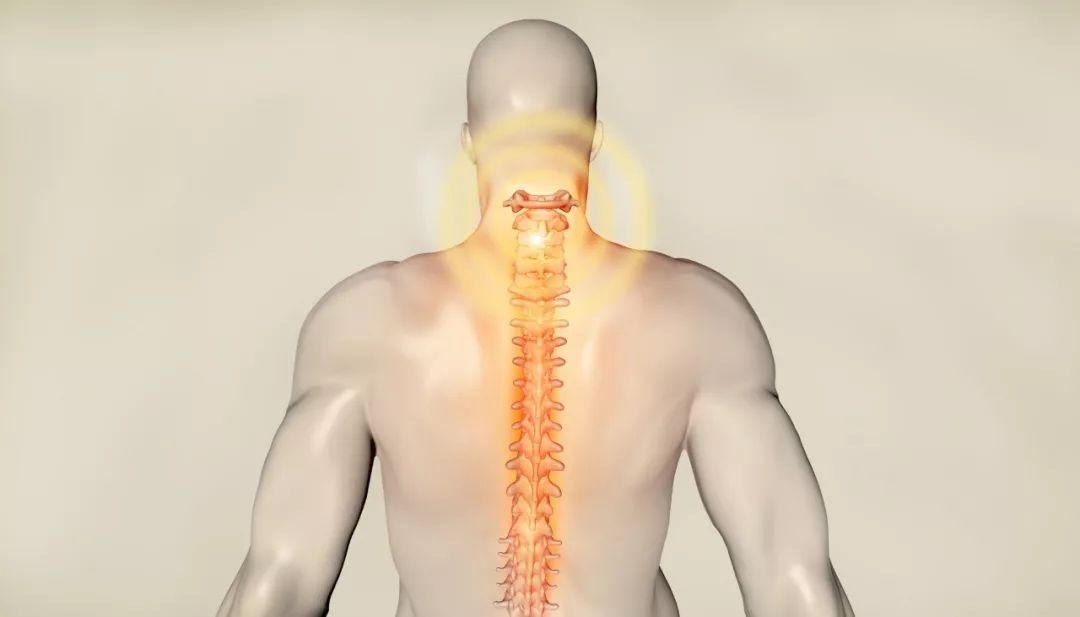 金匮要略|后背疼痛，检查不出问题，咋治疗也不好？