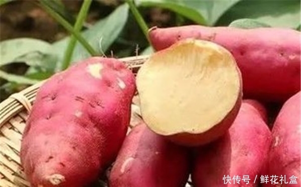土豆和红薯|红薯和土豆好吃又可以预防便秘,但吃多了也会有3点风险,记得