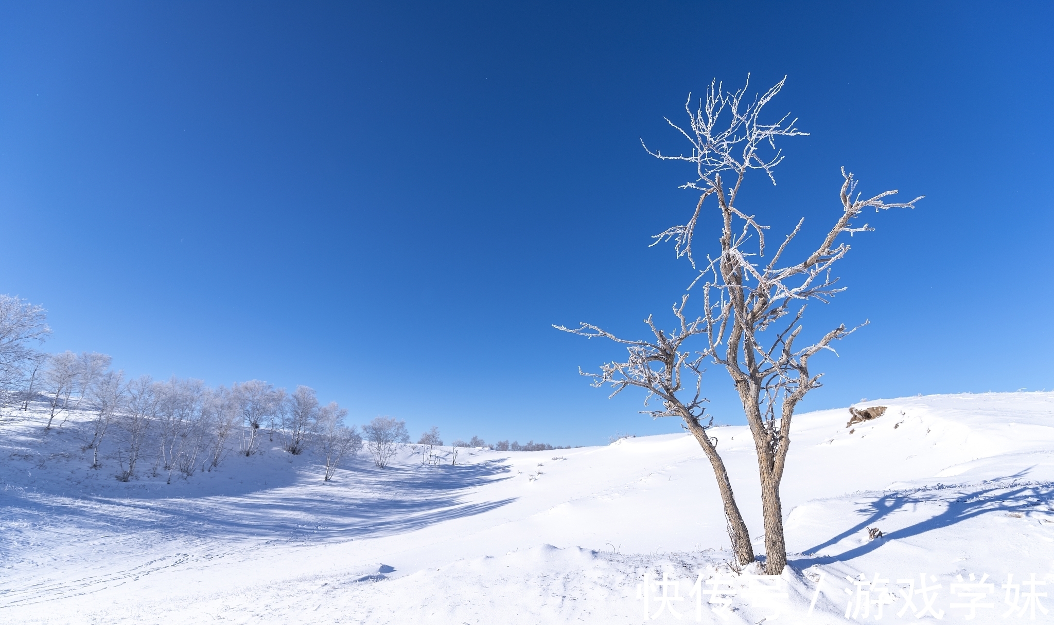 踏雪@大雪节气古诗六首赏读:此间大雪节,花放小桃枝