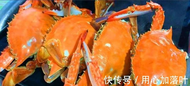 螃蟹|蒸螃蟹时,最忌直接上锅蒸,多做1步,蟹肉鲜嫩入味不流黄!