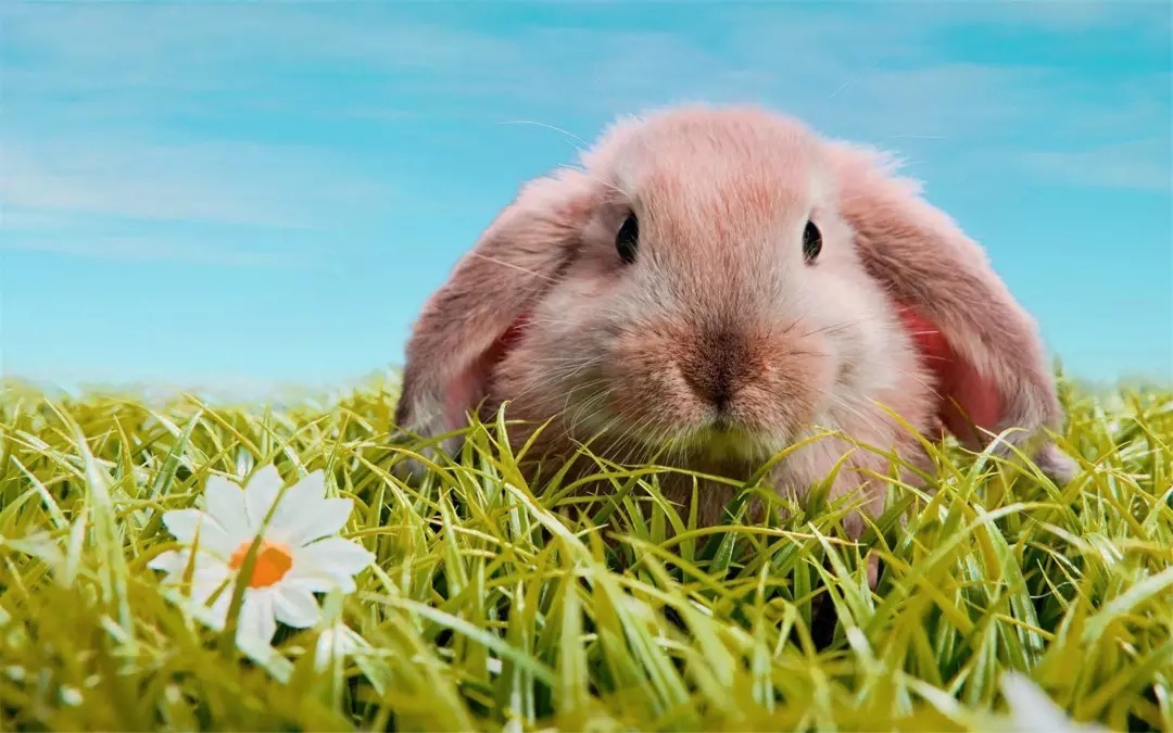 患者|神农清口汤治疗灼口综合症竟有这样的效果!