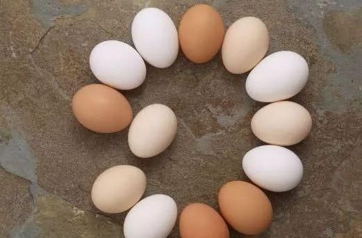 零食|女人别太节俭!常吃4种“零食”,补充雌激素,胜过去“美容院”