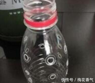 想把绿萝养成“树”请塑料瓶来帮忙,一分钱不花,养成大叶萝!