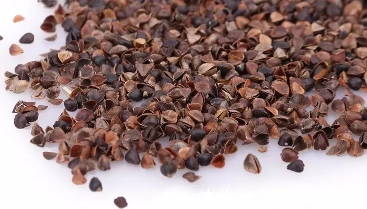 睡眠时间|晚上睡多久,决定你能活多久!你的年龄该睡多长时间?1分钟了解