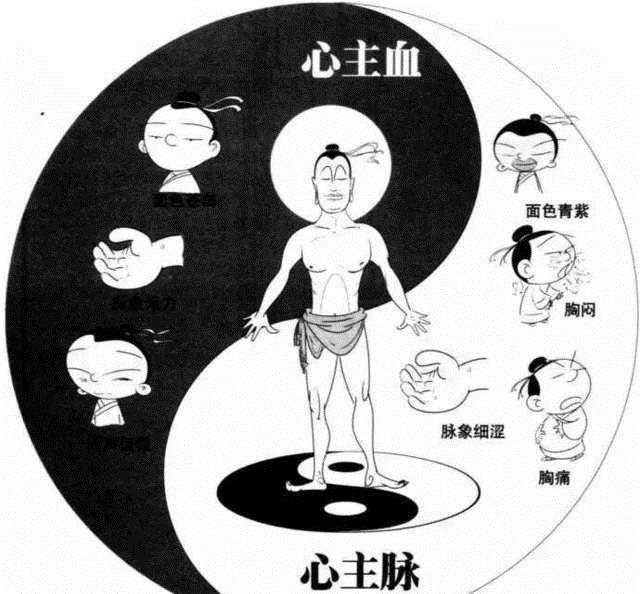 五脏|老中医:如此养我们的心、肝、脾、肺,肾,能让五脏焕发活力