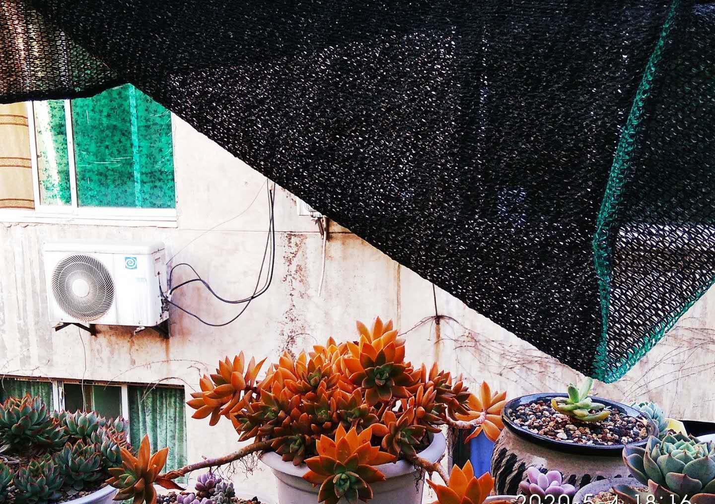 阴天|没有太阳的阴天但温度很高,这种情况需要给多肉拉遮阳网防晒吗?