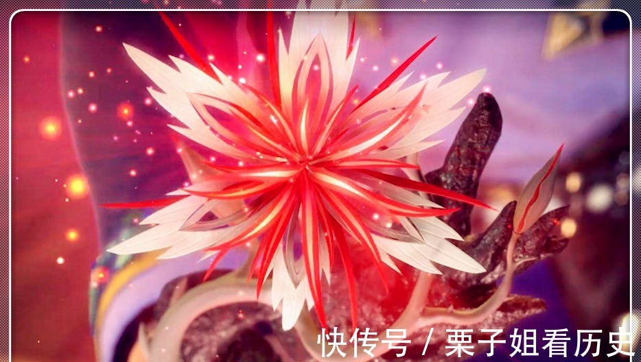 唐三|斗罗大陆,七种元素武魂代表,史莱克七怪只占了三种