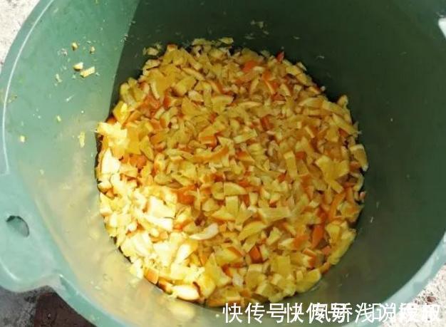 香蕉、橘子的果皮该怎么处理?养花人:全变废为宝、酵肥