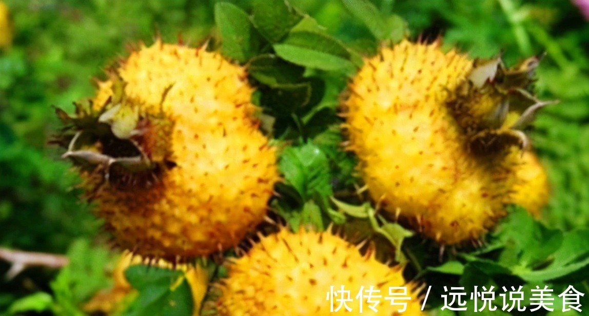 食物|对女人很好的3种食物,坚持每天吃一些,排毒养颜、淡化皱纹