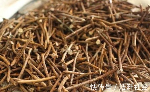 黄叶|老婆用装修时剩下的“小东西”,埋在花盆里面,花就没有黄过叶