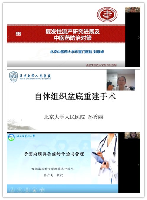 魏丽惠|点击量达2000余次！ 省中医药学会青年委员会、省医疗保健国际交流促进会中医妇科分会举行线上会议