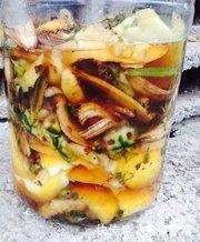 到底|这么多的养花技巧,到底哪个能用