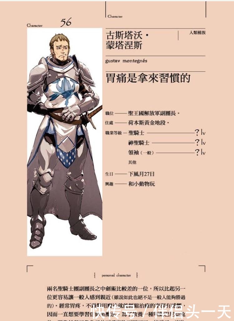 圣骑士|Overlord 人物志 刚愎自用的代价 圣王国的圣骑士