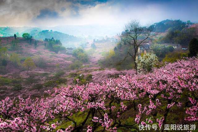 老年|2021年春季国内赏花（二）桃花，推荐16个打卡地