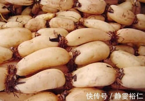 开胃|常吃莲藕健脾开胃，好处多多，但医生说2类人不能吃，禁忌！