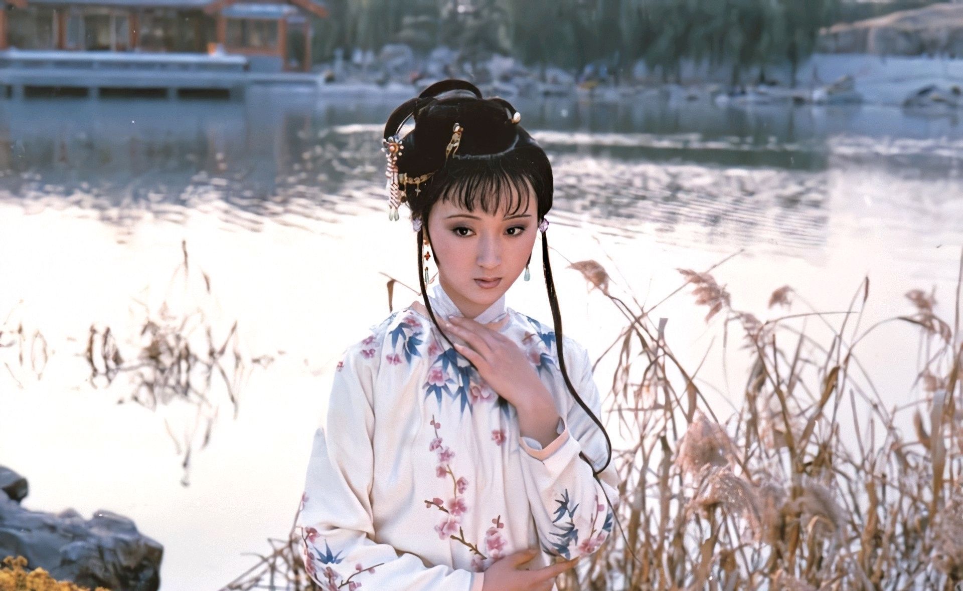 红楼梦&林黛玉一死,贾府随后灭亡,秘密藏在人参养荣丸里吗?