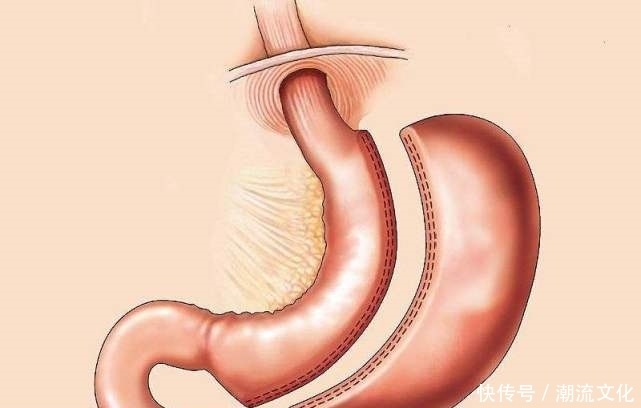 26个冷知识:或许从没听说过,但却真实存在于现实世界