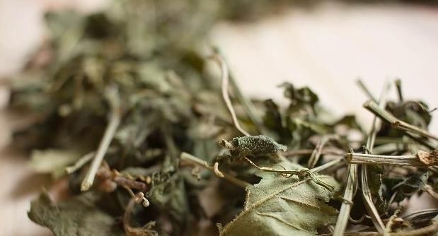 泡泡水|湿气重引肥胖？4个“祛湿”良方不妨一试，总有一个适合你！