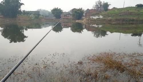 长竿|手竿钓黄颡鱼的实战技巧，这种钓法简单易学，让你轻松钓到黄颡鱼