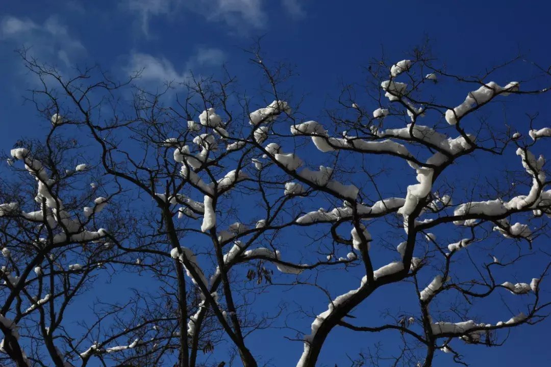 昆嵛山|一场冬雪后，昆嵛山竟变成这样……