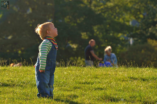 小洁|这个月是孩子长个的“黄金期”,家长若把握住了,不愁娃长不高!