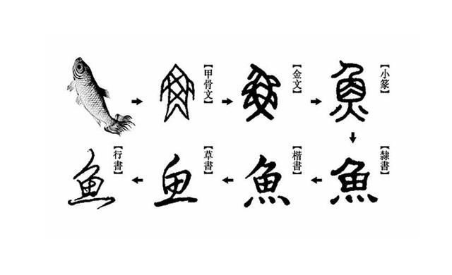 繁体字&专家提议废除汉字,他写2篇奇文对其反驳,从头到尾一个读音