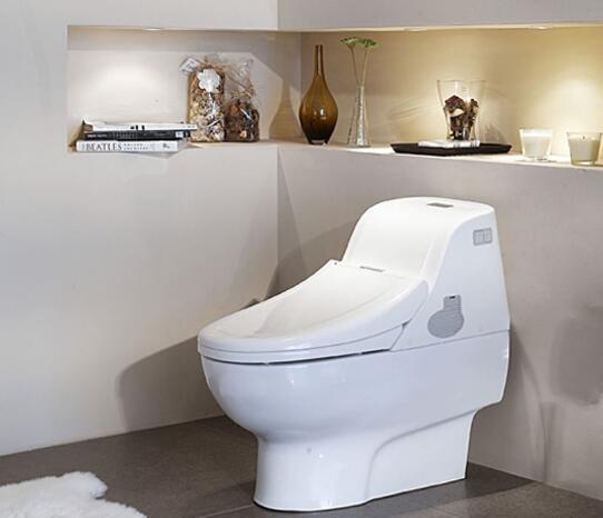 马桶|小卫生间还装马桶吗头次见这样的设计,既实用又节省空间