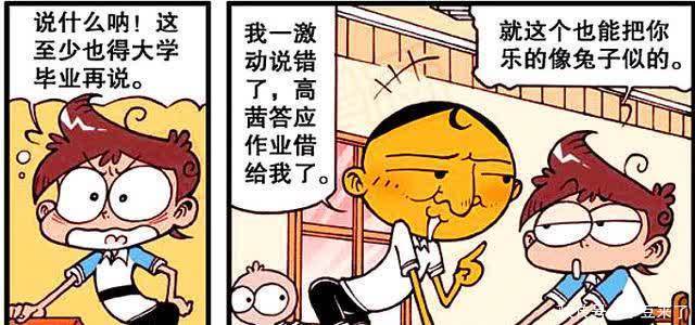 泽泽|奋豆“八抬大轿”迎娶高茜?不料未来的女神却变成了“包租婆”