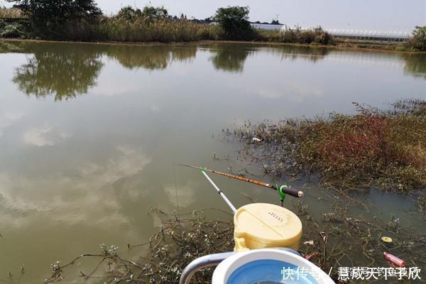  地方|冬季钓鲫鱼，从这四个方向找鱼群，满足三条就是鱼扎堆的地方！