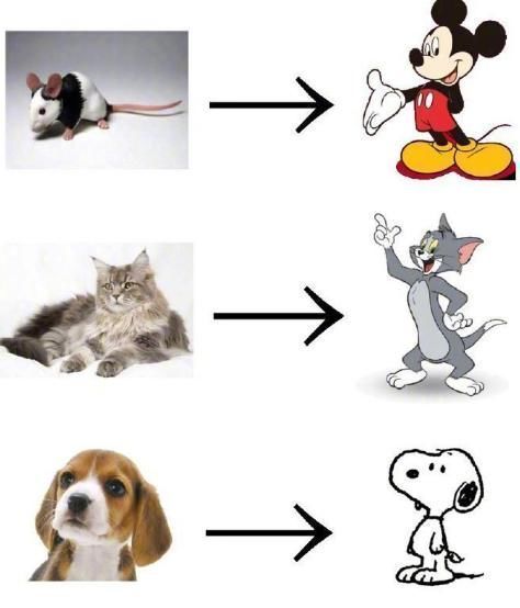 涂山苏苏|日漫什么都想娘化,美漫什么都想走两步,那国漫呢