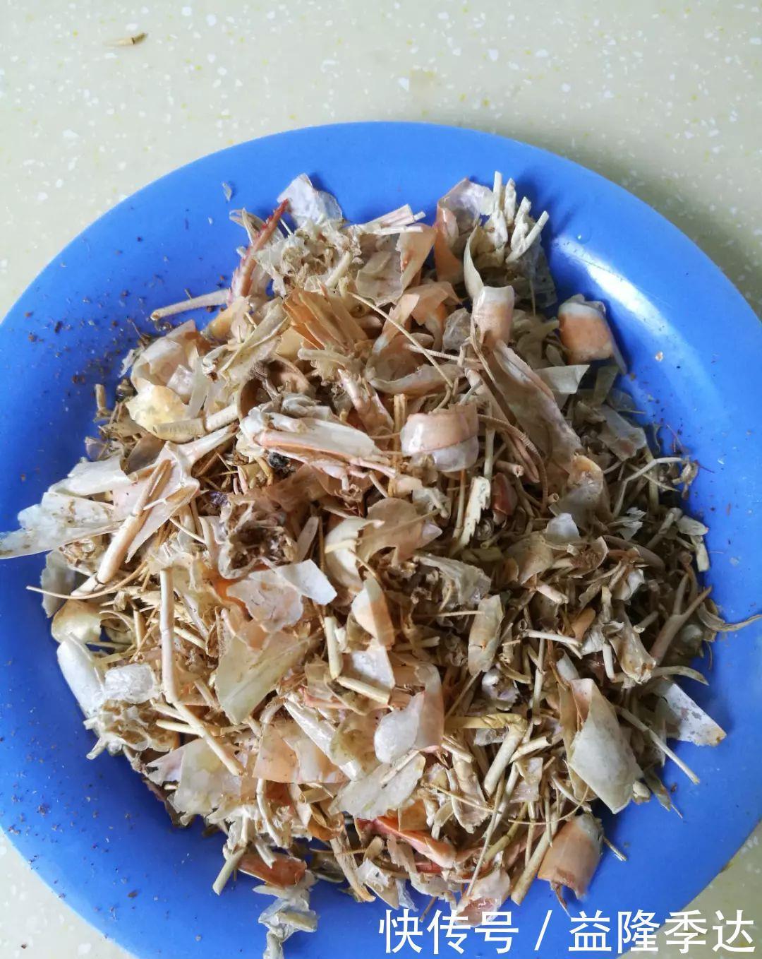 煤渣|家里吃剩的果皮，拿来养花嗖嗖长，不黄叶、开花多