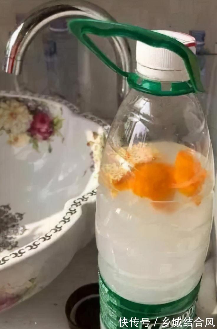 用这8种“废水”养花,青枝绿叶长得壮,开花鲜艳,环保又省钱