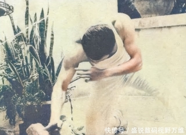 叶问|罕见彩照揭秘李小龙到底强在哪?身体每一处都是“超级武器”
