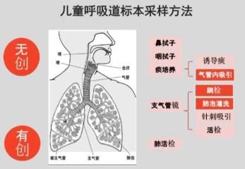 病例|病例分析：儿童肺部感染诊治5大原则，你知道吗？