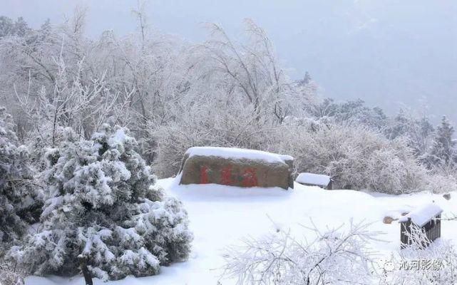 雪后王莽岭，美得不要不要的！