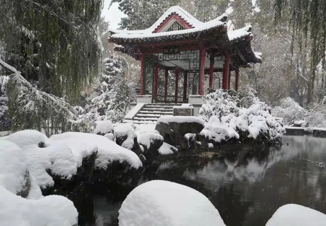 山东交通学院|千里一色！山东高校的“初雪”遇上“立冬”，浪漫绝绝子！