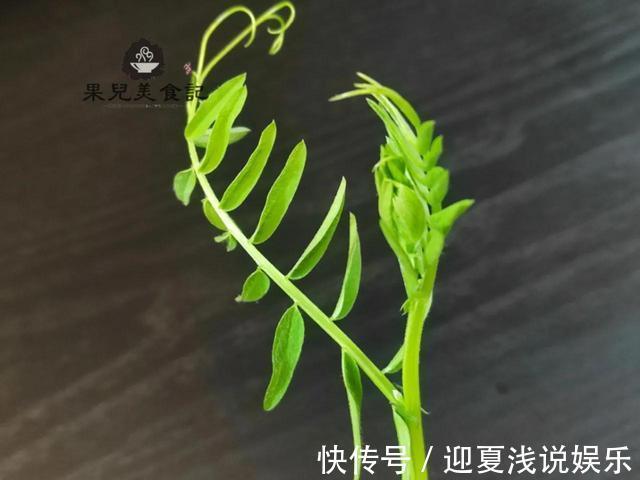 果儿|3块钱买了一袋野菜,只加了简单一味调料,炒出来清香美味
