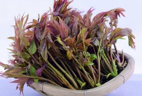 夏日|夏日35度太阳女性不想显老，多吃3种食物，延缓衰老，排毒养颜