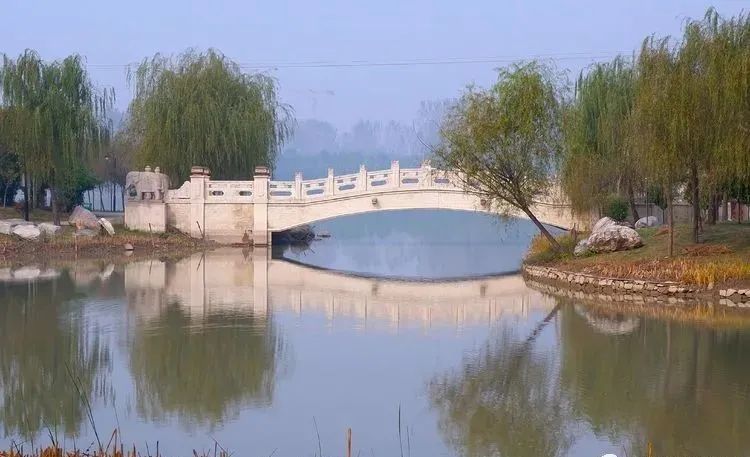 银杏|霜降枫红银杏黄，黄龙湿地公园染秋色