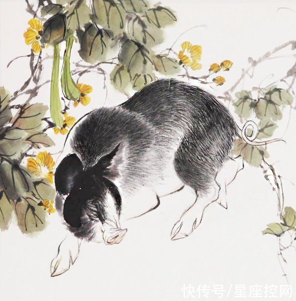 在职场|2021好运未了,2022再创辉煌,这两年成功翻身致富的生肖