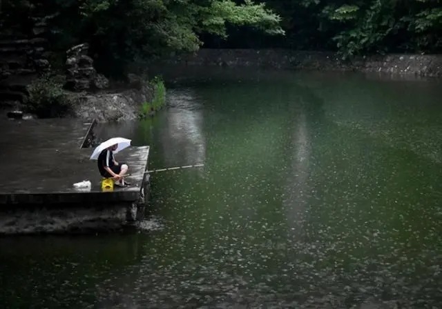 入秋下雨天钓鱼，钓深还是钓浅，垂钓大师一般这样选择！