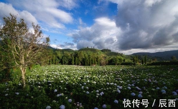 为人处世|近几天，难舍旧情，相思成疾，月老相助，续写深情，至死不渝