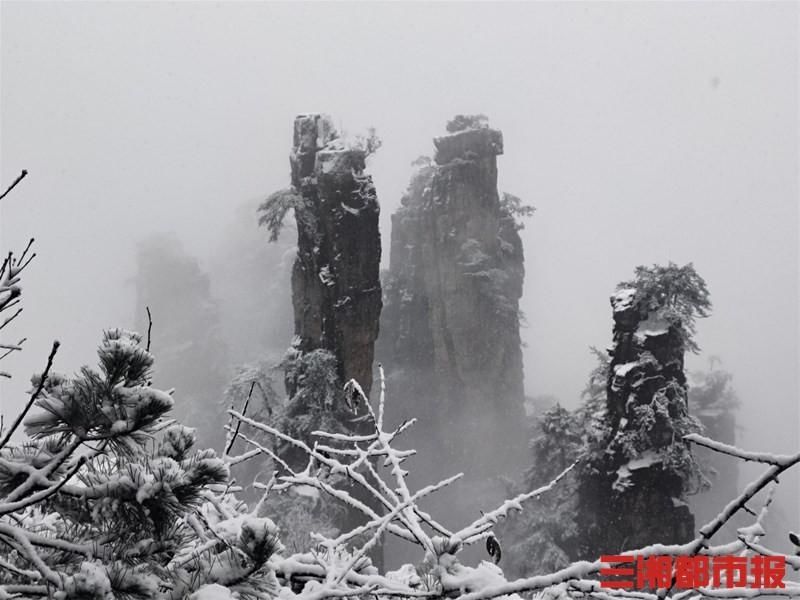 武陵源|张家界武陵源天子山迎今冬首雪