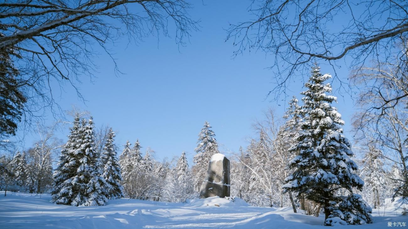 老年|在寂静雪原 遇见雪花真实的形状