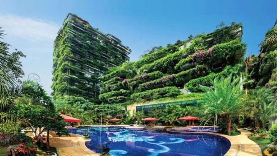 无人化|“三驾马车”齐头并进，碧桂园长期主义再被验证