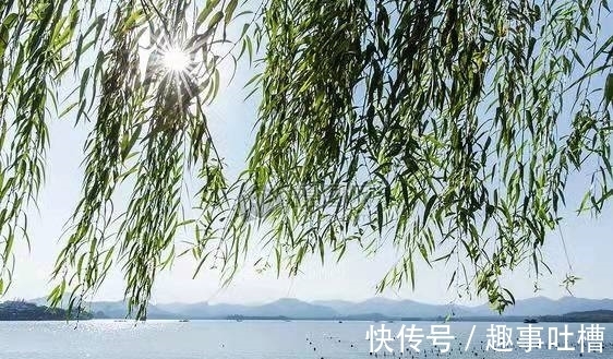 无人种&有关咏物的四首诗,其中一首写得尤其耐品,值得一读