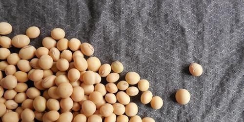 心脑血管疾病|血脂高了不用怕，多吃这5种食物，清光血管垃圾，赶走高血脂